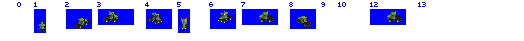 Speedytrac.png