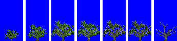 tree_wide_05_leaf.gimp.png