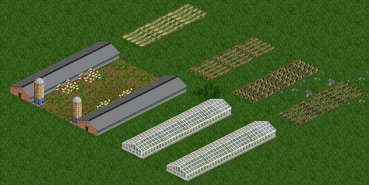 Chicken Farm 02.png